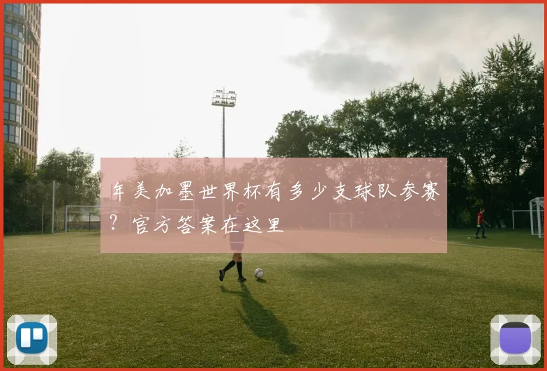 年美加墨世界杯有多少支球队参赛?官方答案在这里